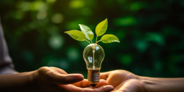 Hands with lightbulb