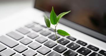 plant sprouting from laptop